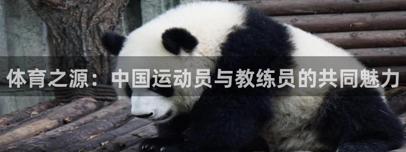 菲律宾ug环球官网：体育之源：中国运动员与教练员的共同魅力