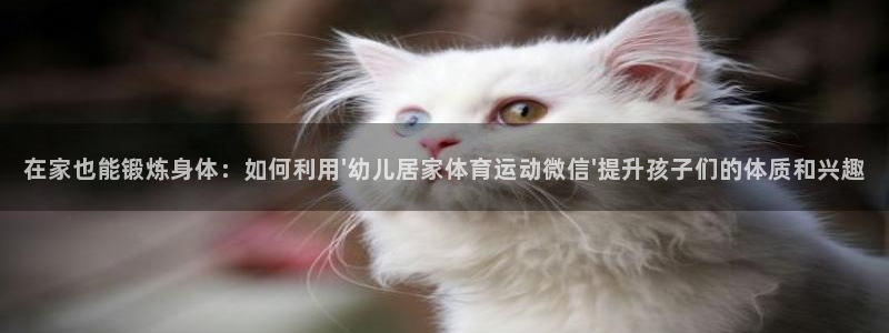 菲律宾ug环球官网：在家也能锻炼身体：如何利用\'幼儿居家体育运动微信\'提升孩子们的体质和兴趣