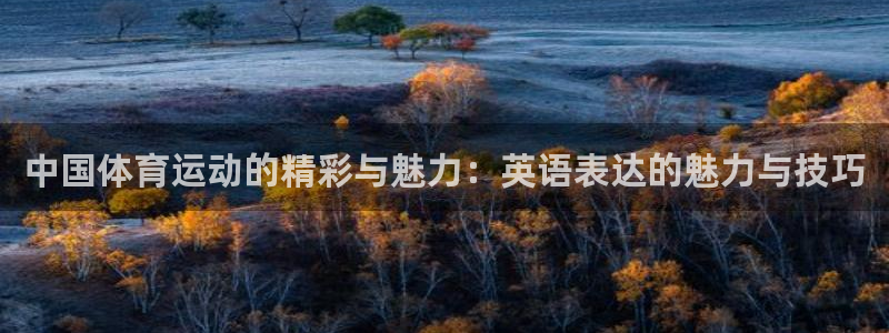 ug环球官网登录入口：中国体育运动的精彩与魅力：英语表达的魅力与技巧