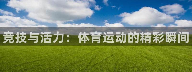 ug环球官网登录入口：竞技与活力：体育运动的精彩瞬间