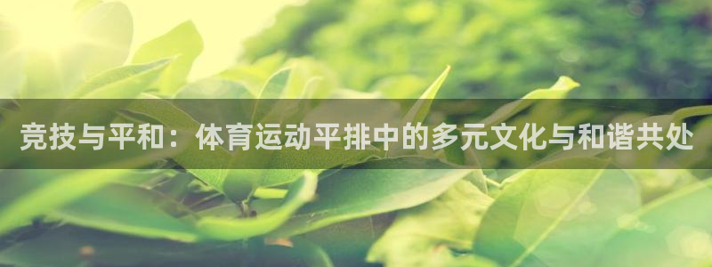 ug环球官网登录入口：竞技与平和：体育运动平排中的多元文化与和谐共处